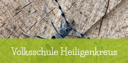 Volksschule Heiligenkreuz