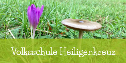 Volksschule Heiligenkreuz